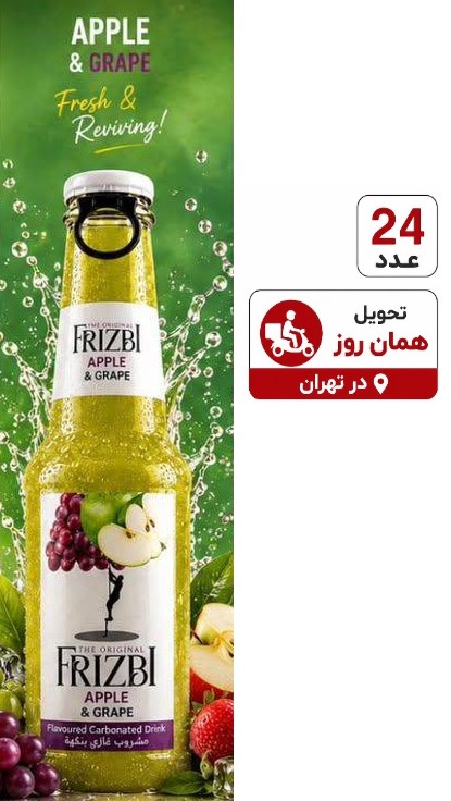 نوشیدنی گازدار فریز طعم میکس انگور و سیب 24 عددی